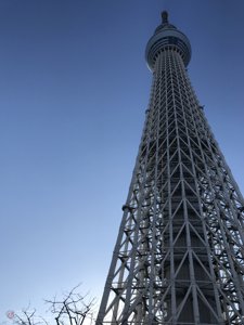 20180110144703_iPhone 7.jpg